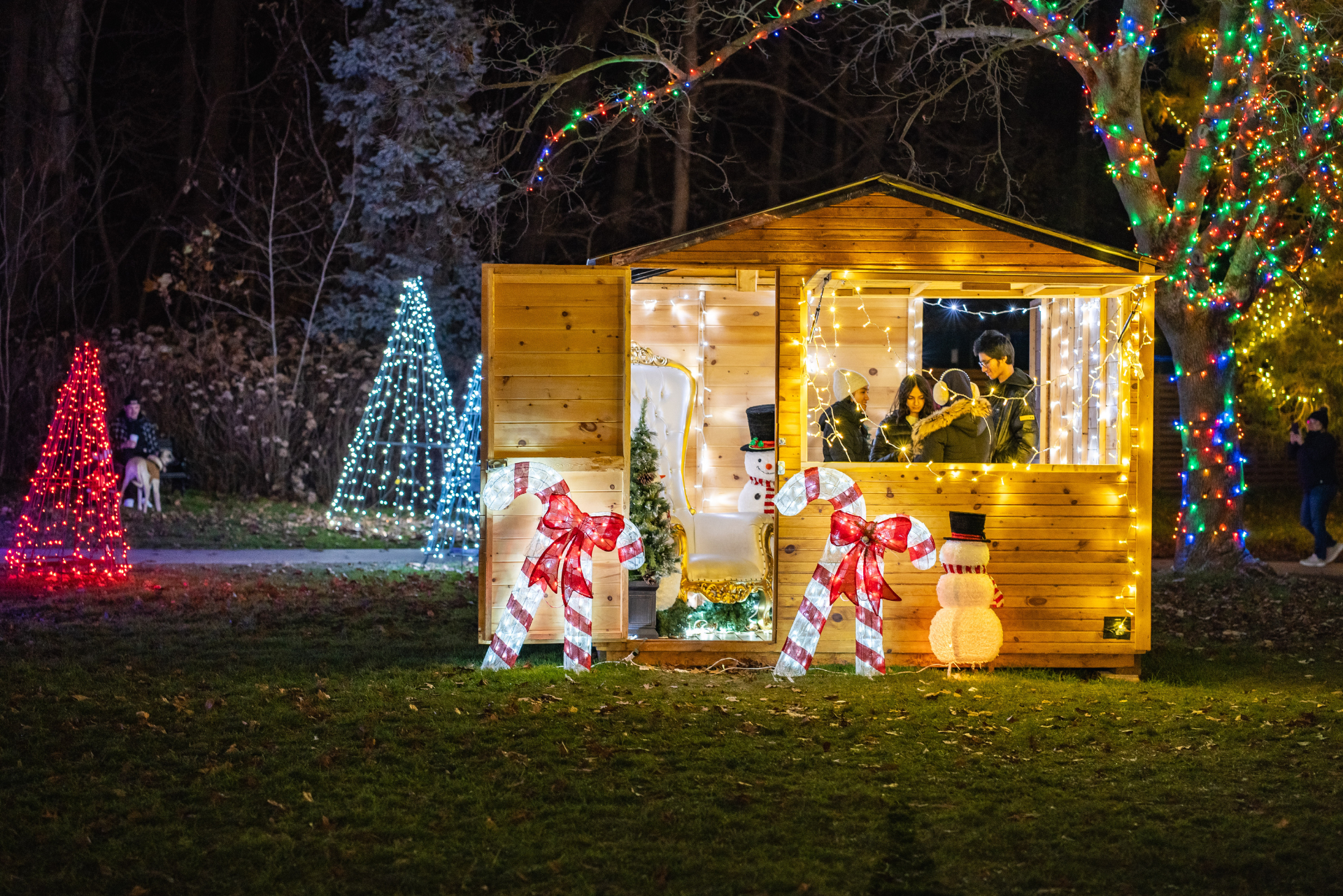 The Misty Lodge Misty Kids