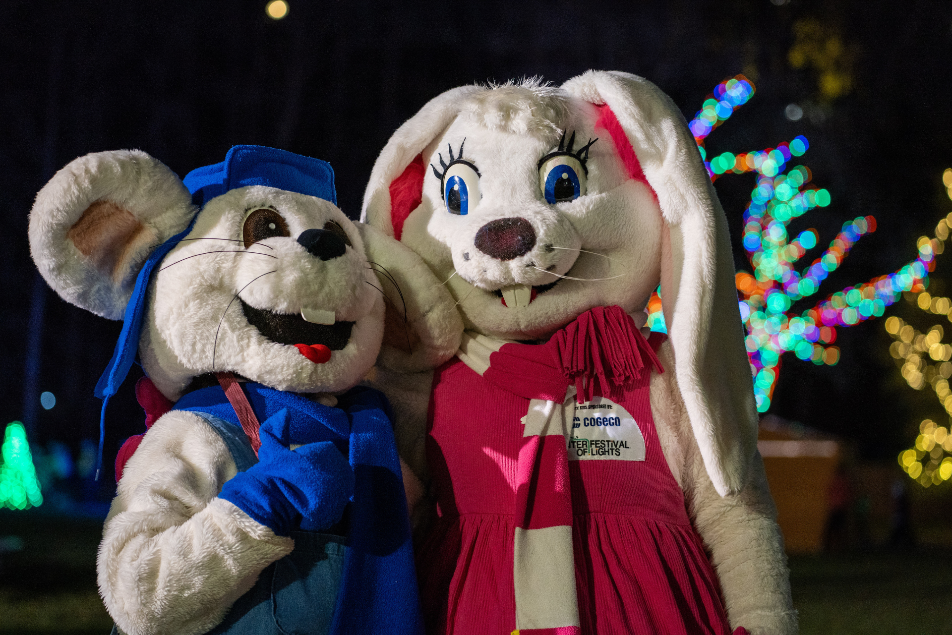 The Misty Lodge Misty Kids