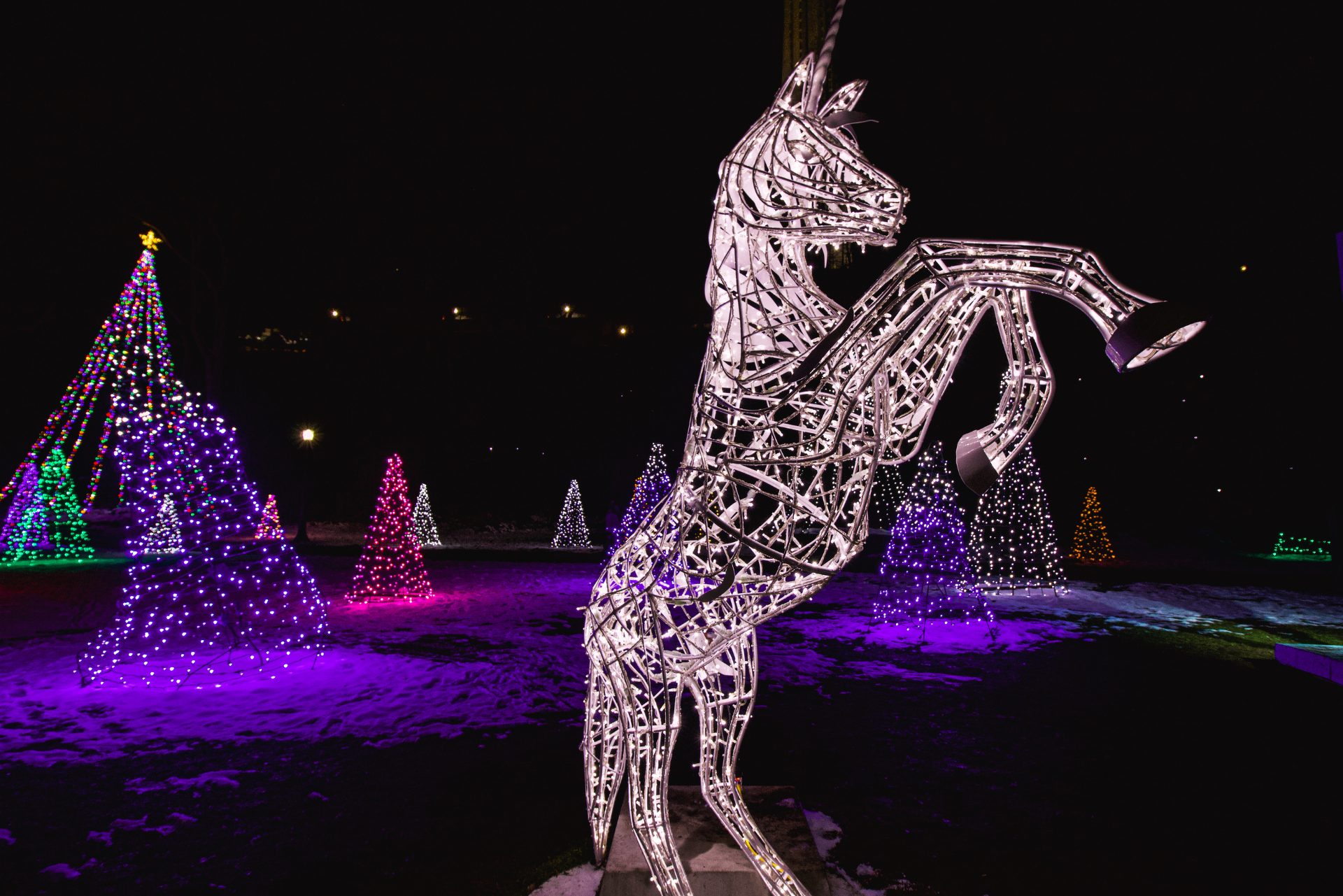 Winter Festival of Lights Map & Contest