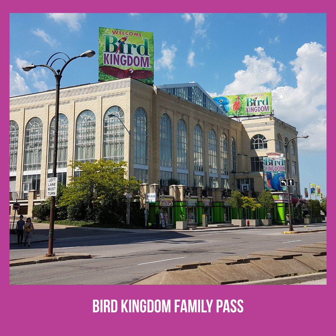 Bird Kingdom Family Pass